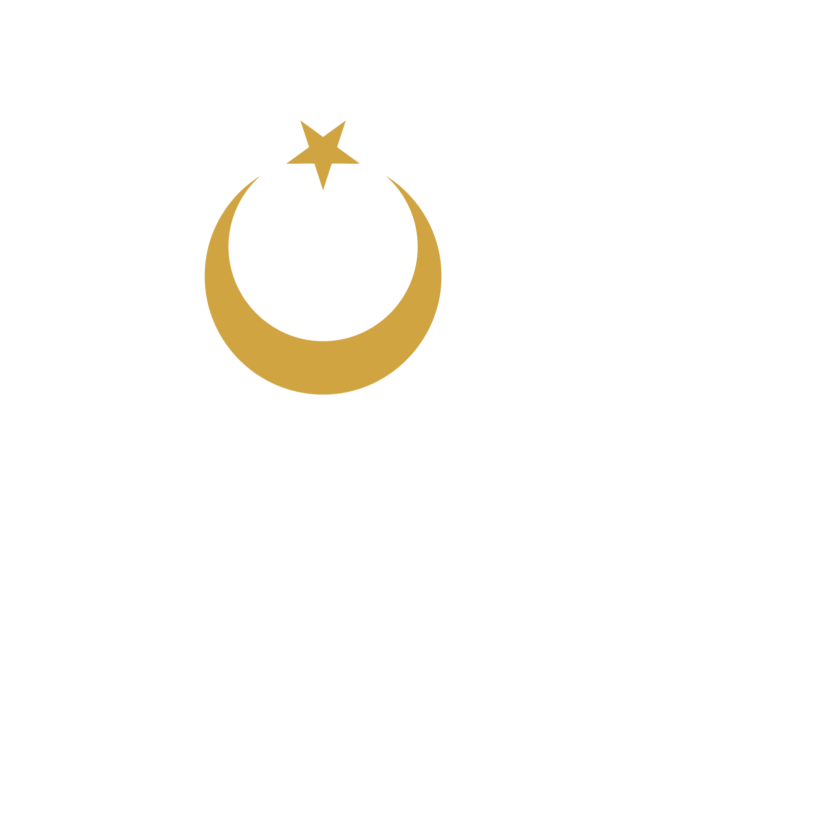 Türk Altın İşletmeleri A.Ş. (Beyaz)
